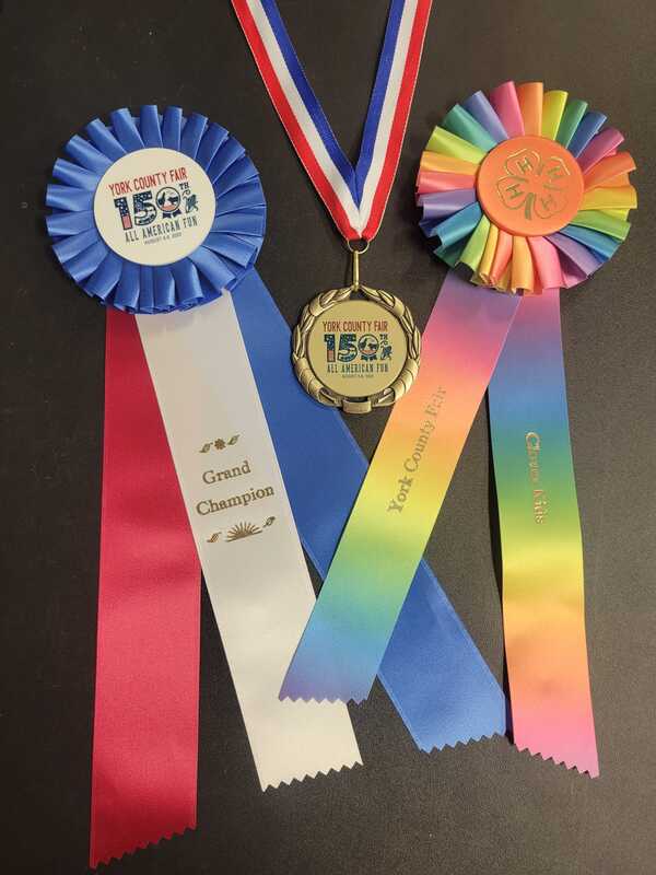 York County Fair 2023 Medals and Ribbons